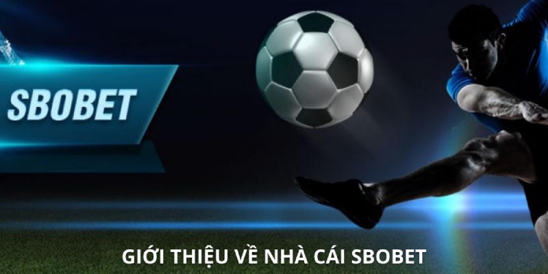 SBOBET đã thành công tạo dựng thương hiệu của mình