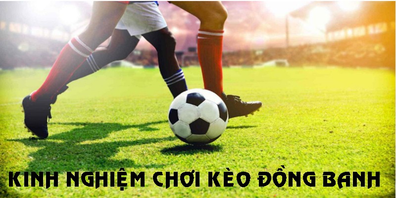 Những chiến thuật chơi cược đồng banh chắc thắng cho bet thủ